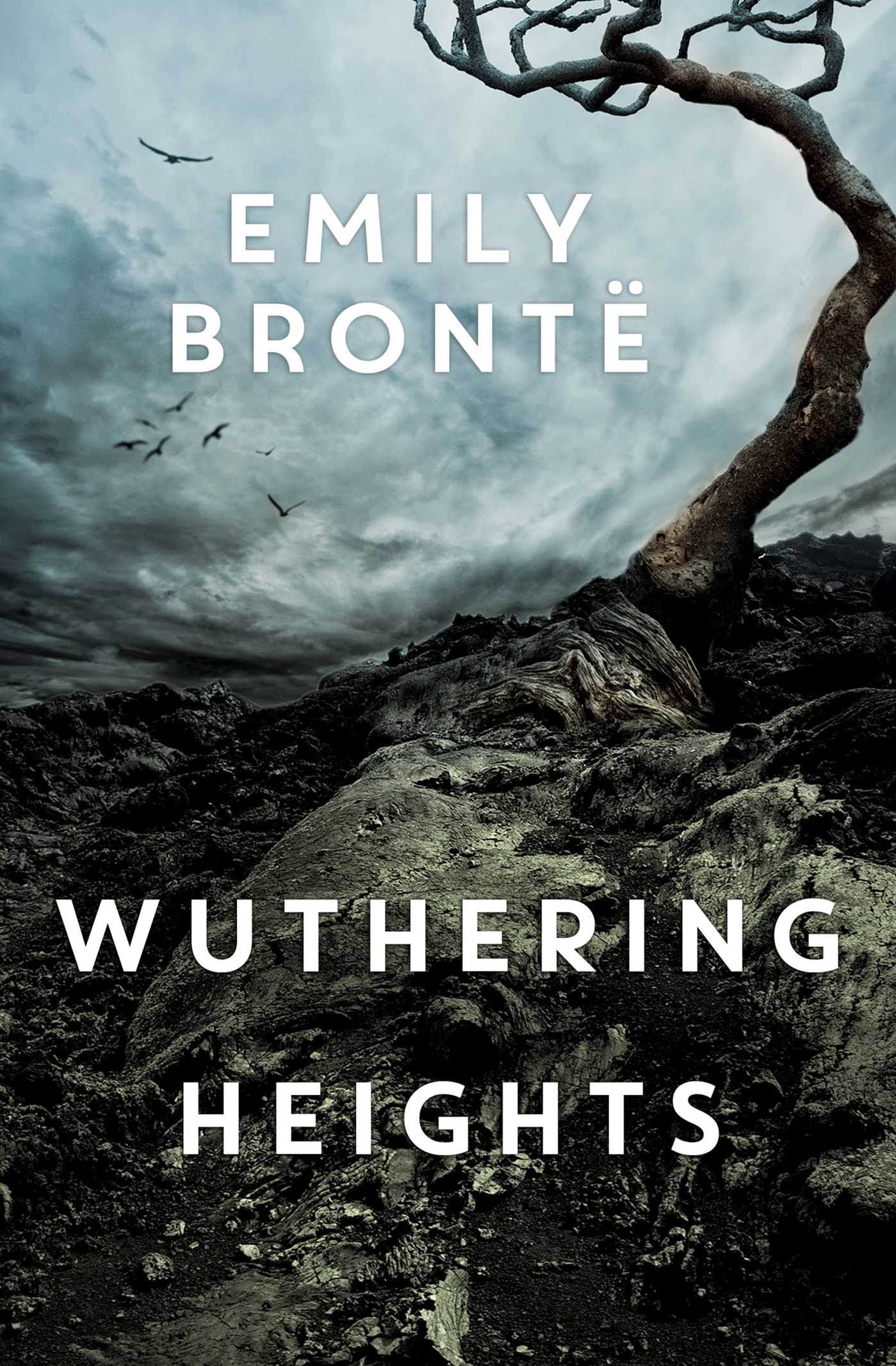 Wuthering Heights /Emily Bronte